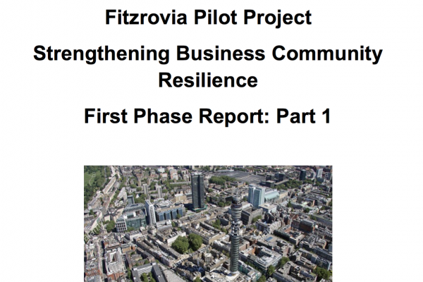 Fitzrovia report