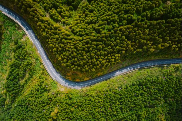 arial view of a road