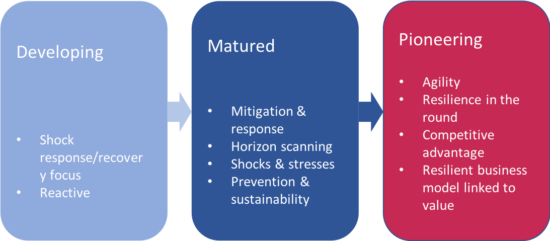 resilience development 