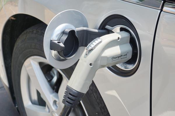 How businesses can embrace EVs in their sustainability efforts