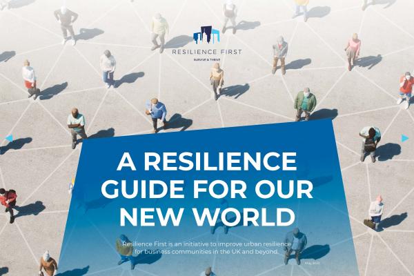 Resilience Guide for Our New World