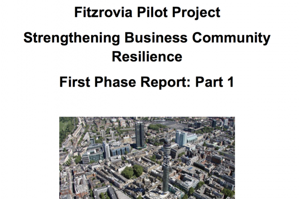 Fitzrovia pilot project update