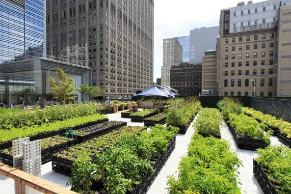 Can business help cities connect to their food?