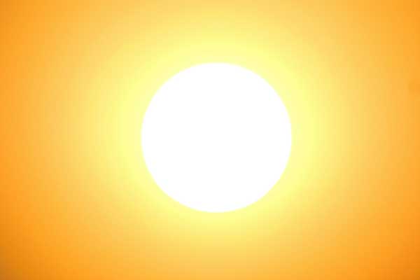 Resilient Response: Adapting to Rising Temperatures